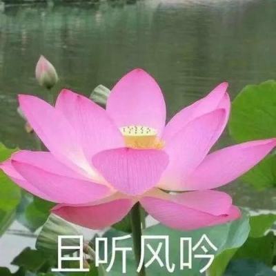 视频全国科技工作者日｜感受大国重器命名里的中国浪漫